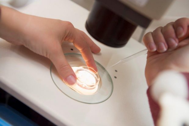 From Miracle to Mainstream: The History of IVF