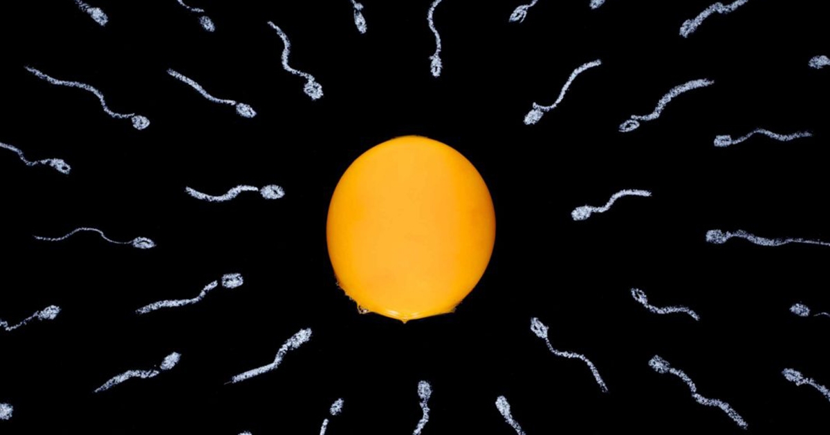 Sperm heading toward egg