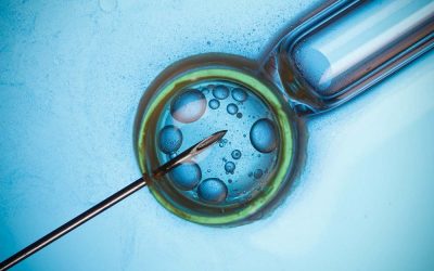 Advancing IVF Success: New Technologies to Improve Embryo Quality Prediction