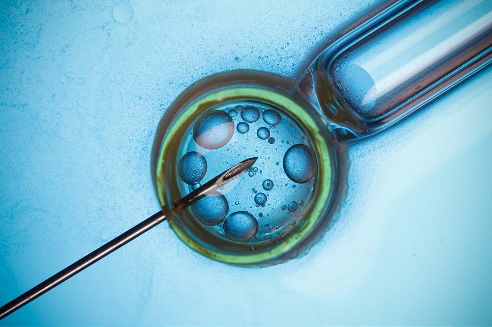 Advancing IVF Success: New Technologies to Improve Embryo Quality Prediction