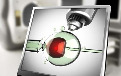 Empowering Your Workforce: Navigating Global Fertility Trends with ARC Fertility