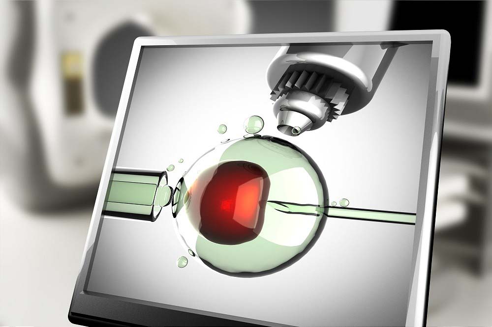Oxford Blog image 1 LR IVF