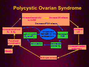 Polycystic Ovarian Syndrome Chart