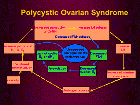 clip_clip_image003 Polycystic Ovarian Syndrome Chart