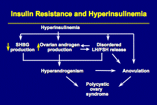 Insulin Resistance and Hyperinsulinemia Chart
