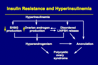 clip_clip_image009 Insulin Resistance and Hyperinsulinemia Chart