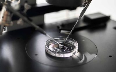 IVF Success Rates and Age: Understanding the Key Factors