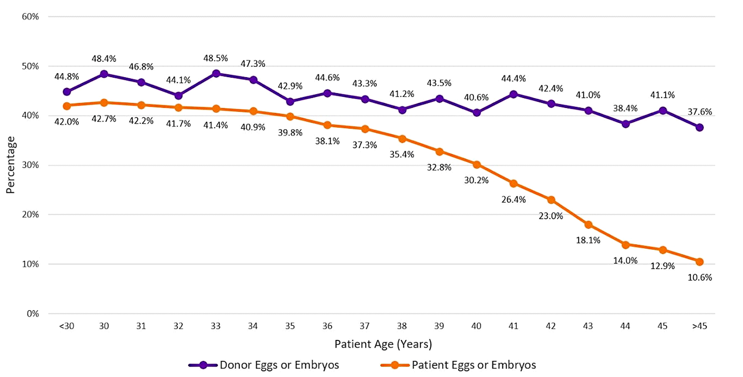 IVF Success Rates with Donor Eggs